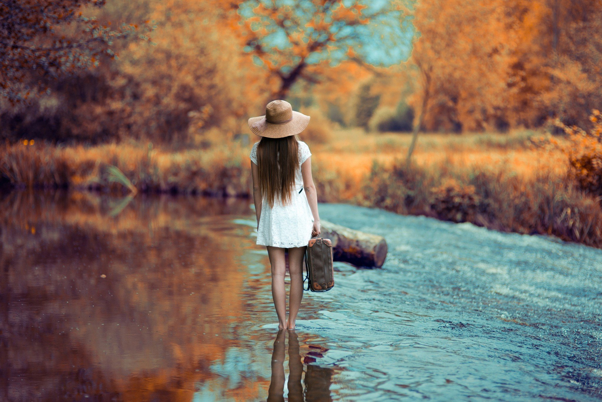 women, Model, Brunette, Long hair, Nature, White dress, Women outdoors, Barefoot, Fall, Trees, Stream, Water, Suitcases, Rear view, Tree stump, Reflection Wallpaper