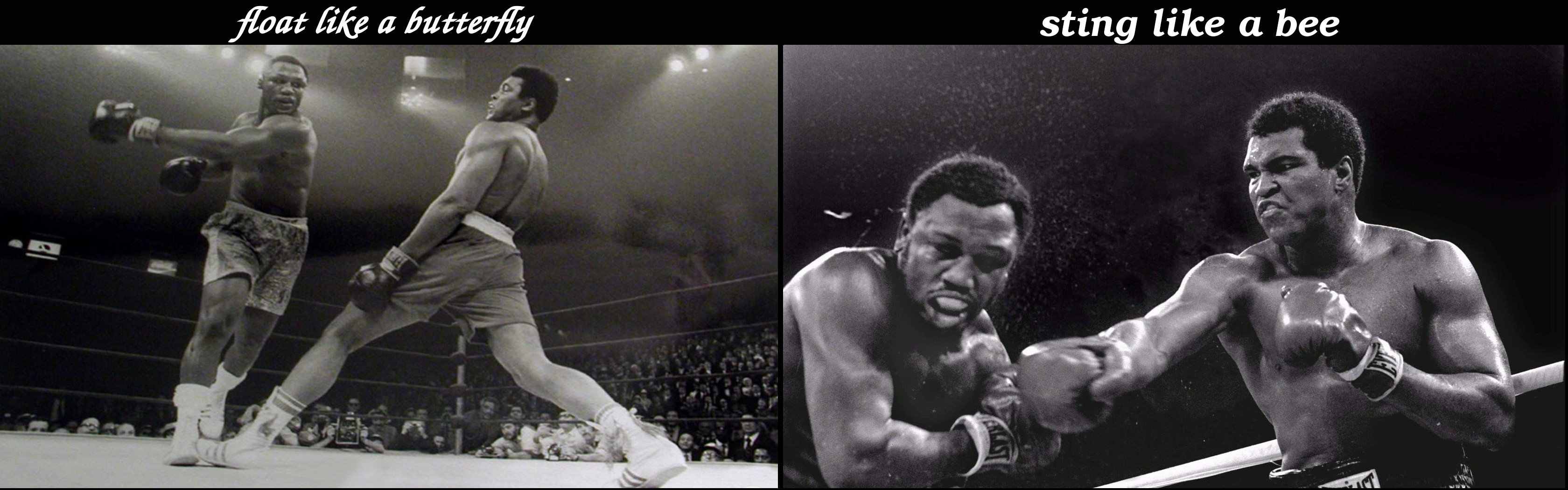 Muhammad Ali, Boxing, Sports Wallpaper