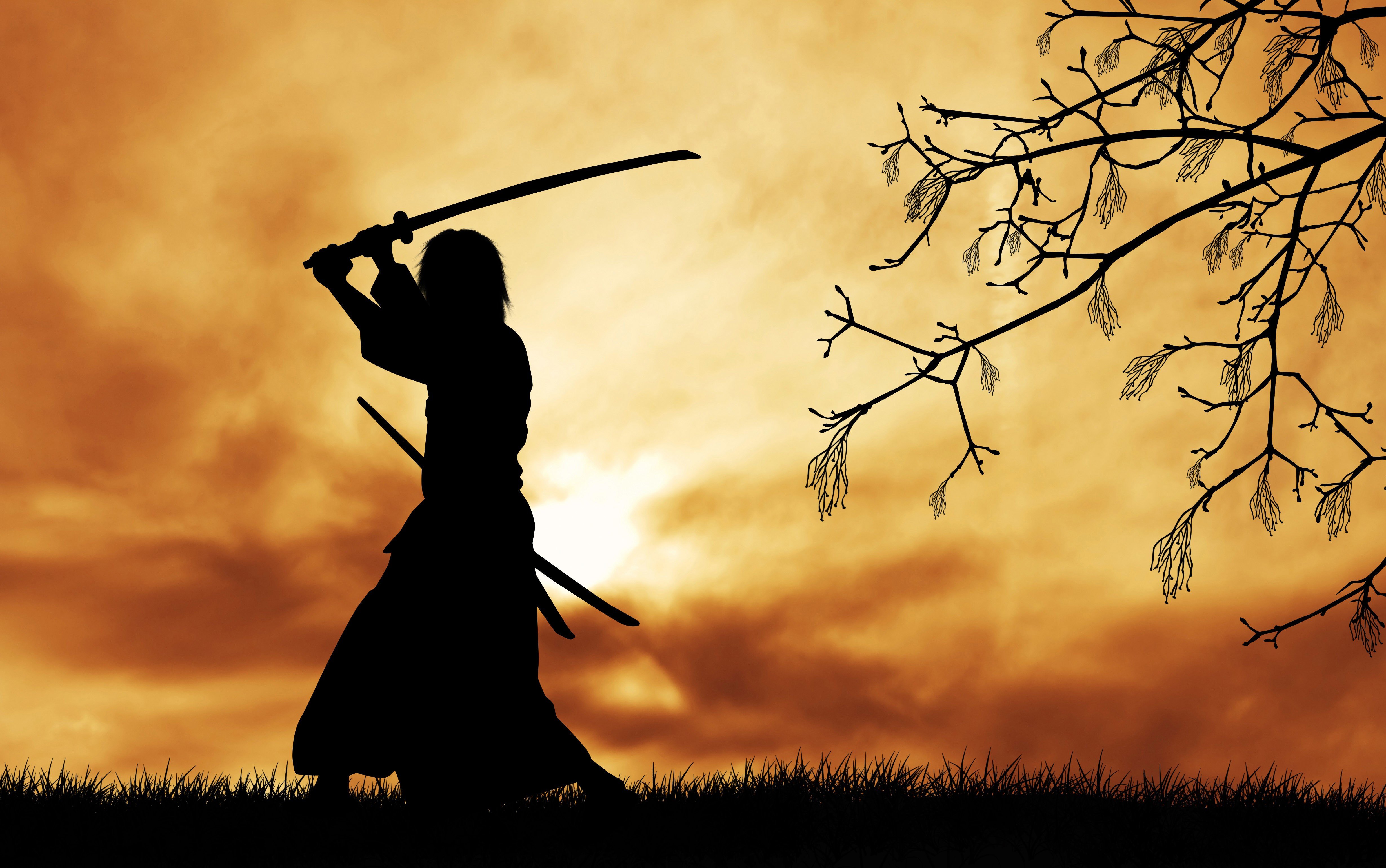 samurai, Japanese clothes, Katana, Silhouette, Trees, Branch, Grass, Clouds, Sun, Digital art, Sword Wallpaper