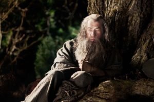Gandalf, Ian McKellen, Wizard, The Hobbit: An Unexpected Journey, The Hobbit
