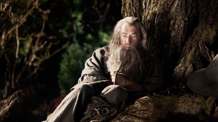 Gandalf, Ian McKellen, Wizard, The Hobbit: An Unexpected Journey, The Hobbit HD Wallpaper Desktop Background