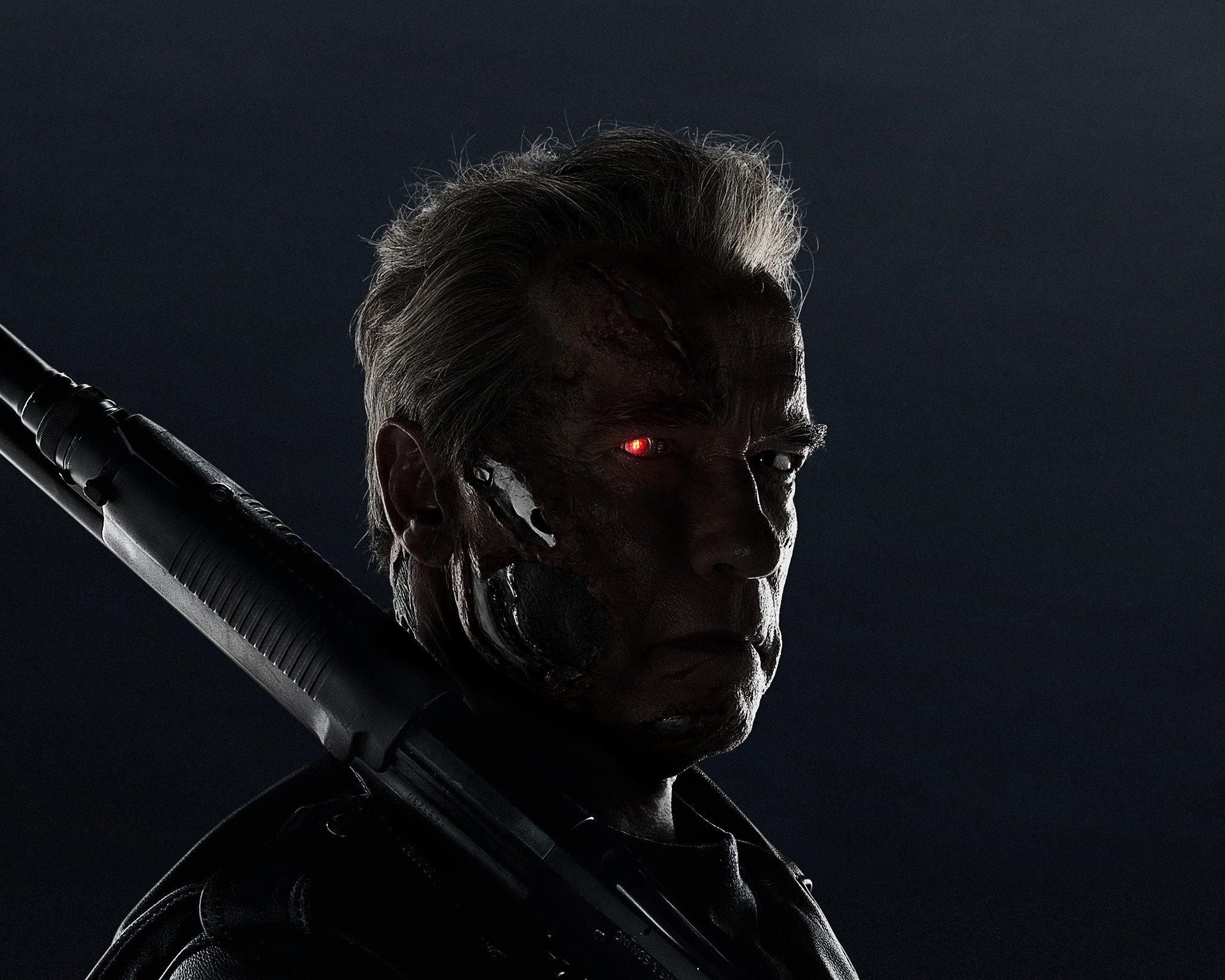 Terminator, Arnold Schwarzenegger, Terminator Genisys, Cyborg, Weapon, Movies, T 800 Wallpaper