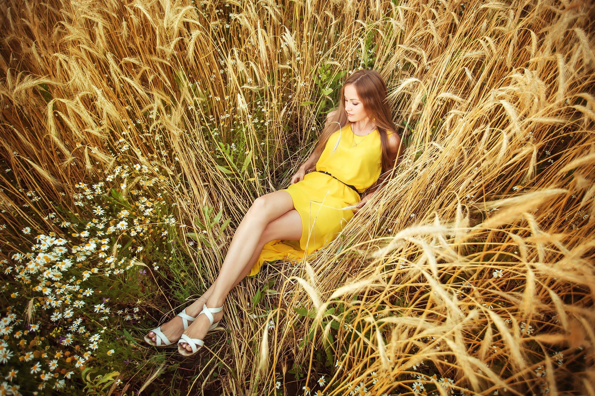 field, Model, Women, Yellow dress Wallpaper