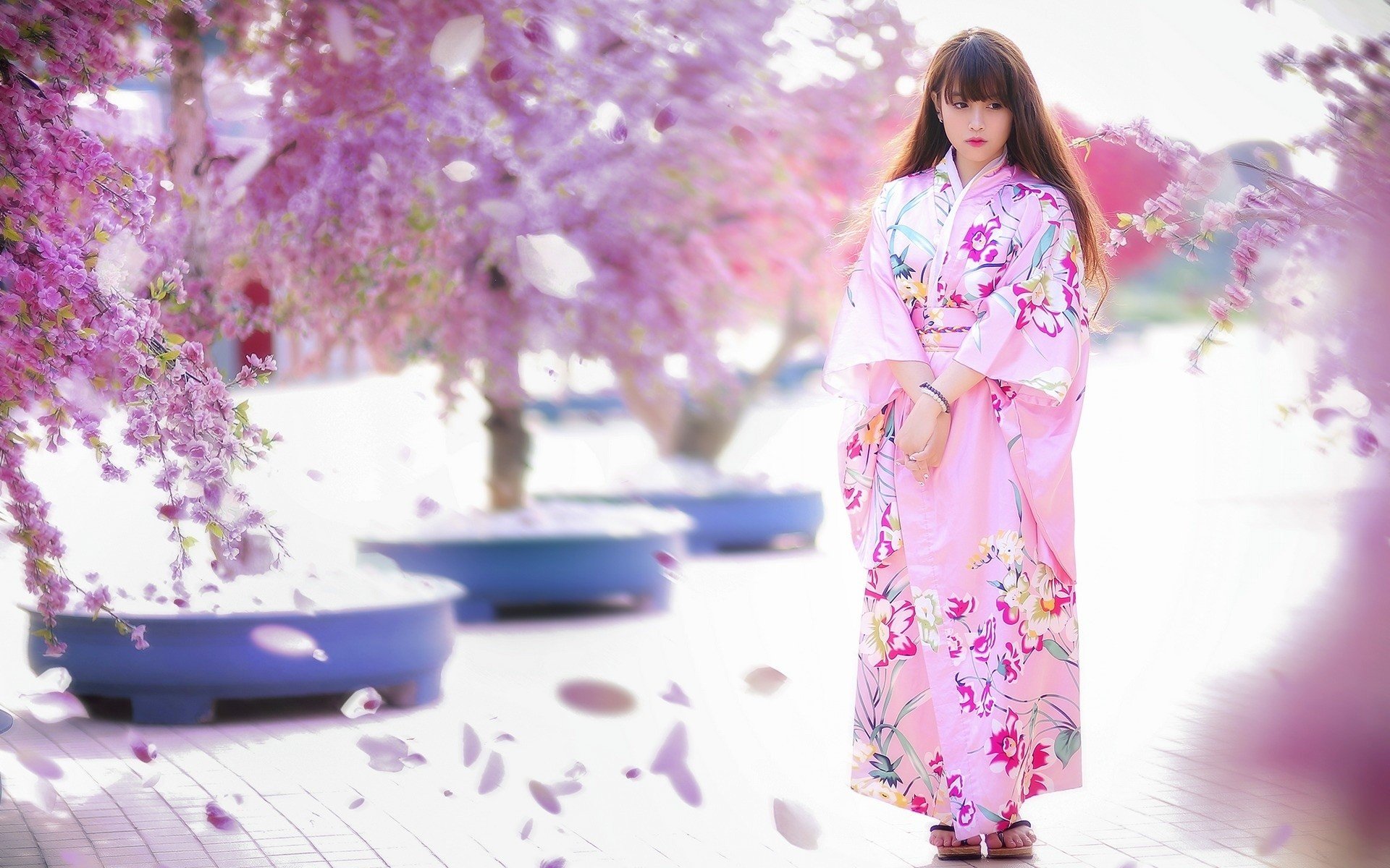 women, Model, Brunette, Long hair, Asian, Women outdoors, Japanese clothes, Geisha, Trees, Pink dress, Flowers, Blossoms, Street, Blurred, Looking away, Japanese women Wallpaper