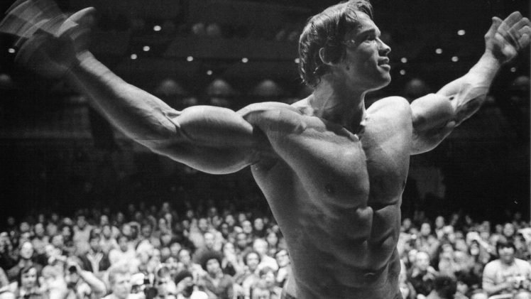 bodybuilding, Bodybuilder, Arnold Schwarzenegger HD Wallpaper Desktop Background