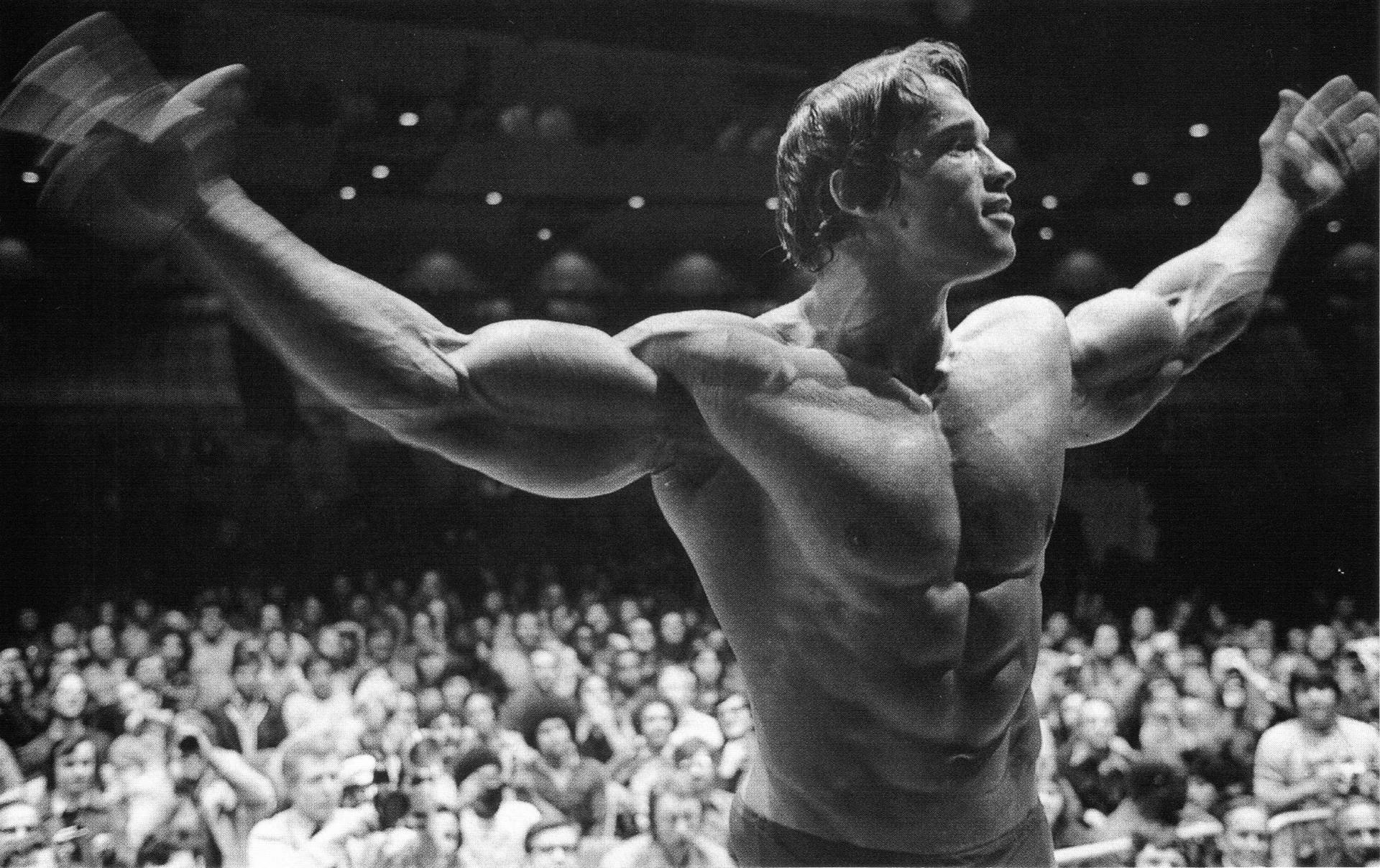 Arnold Schwarzenegger, Bodybuilding, Bodybuilder, Working out, Exercise, Muscles Wallpaper