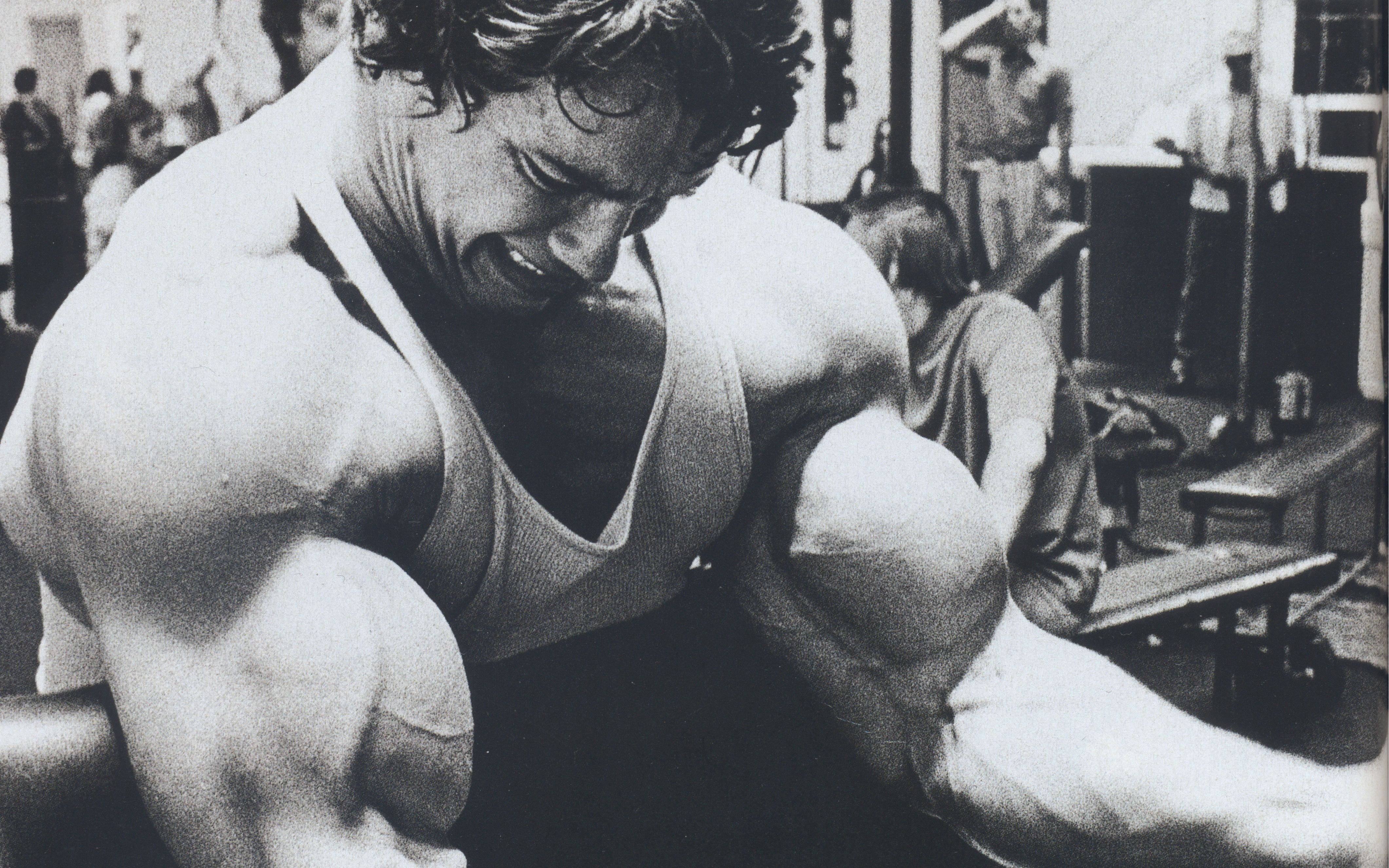 Arnold Schwarzenegger, Bodybuilder, Working out, Exercise, Muscles Wallpaper