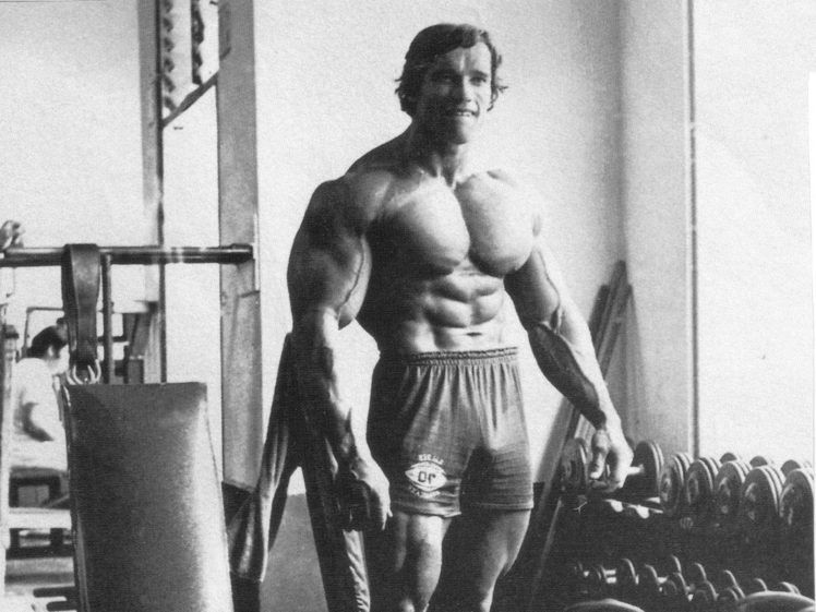 Arnold Schwarzenegger, Bodybuilding, Bodybuilder, Working out, Exercise, Muscles HD Wallpaper Desktop Background