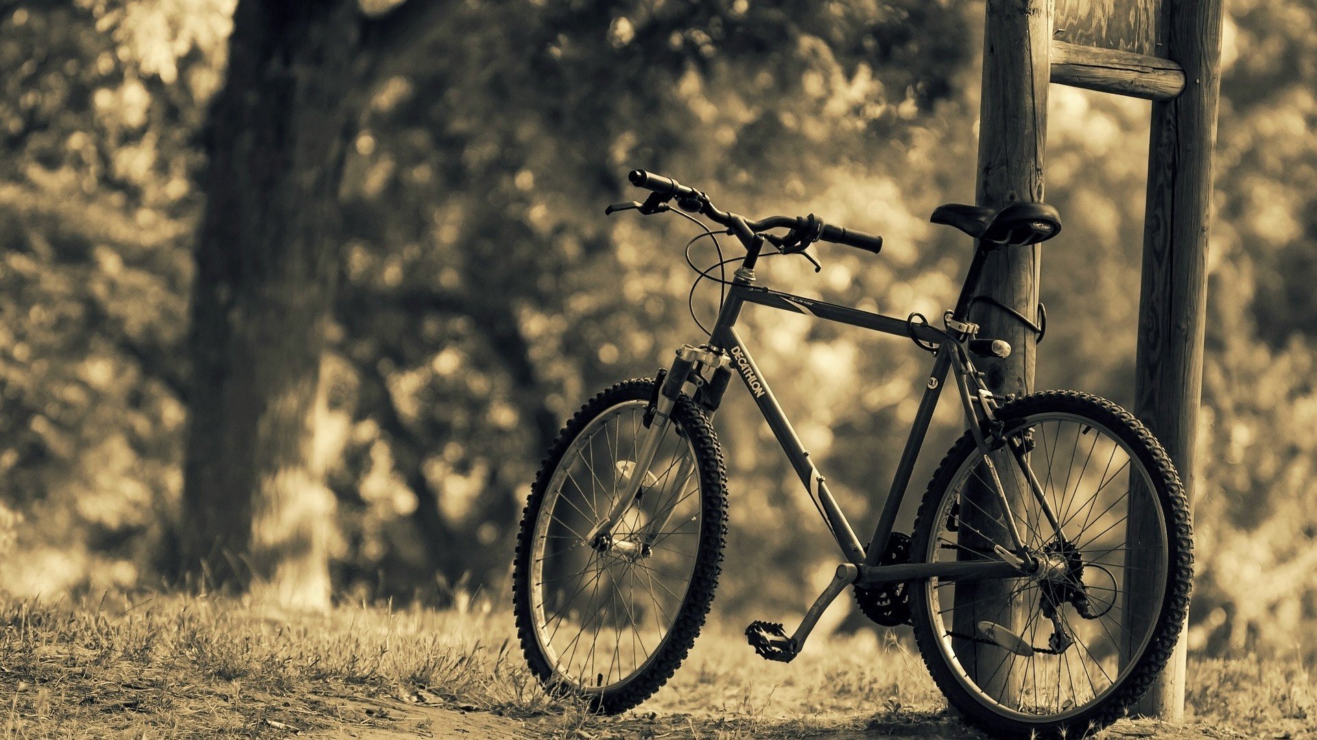 bicycle HD Wallpapers / Desktop and Mobile Images & Photos