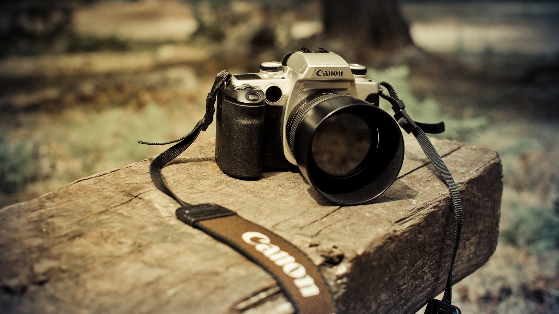 Wallpaper Black and Silver Canon Dslr Camera on Brown Rock, Background -  Download Free Image