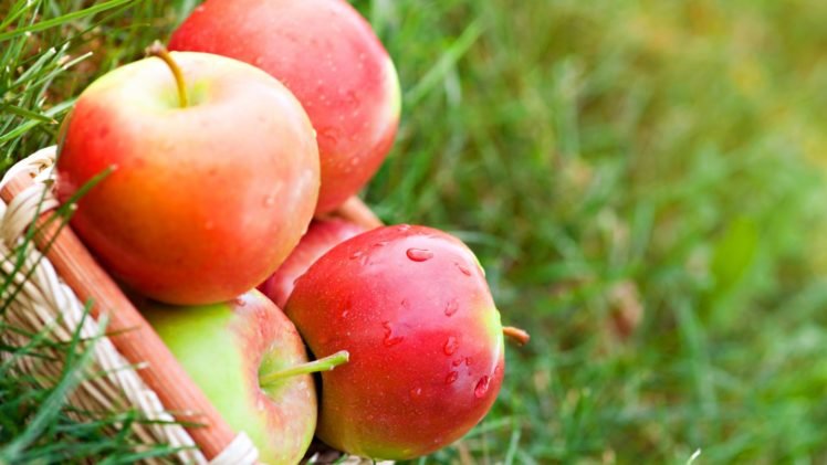 apples, Food HD Wallpaper Desktop Background