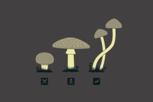 mushroom, Food, Drugs, Death