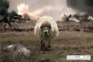 sheep, Battle, Helmet