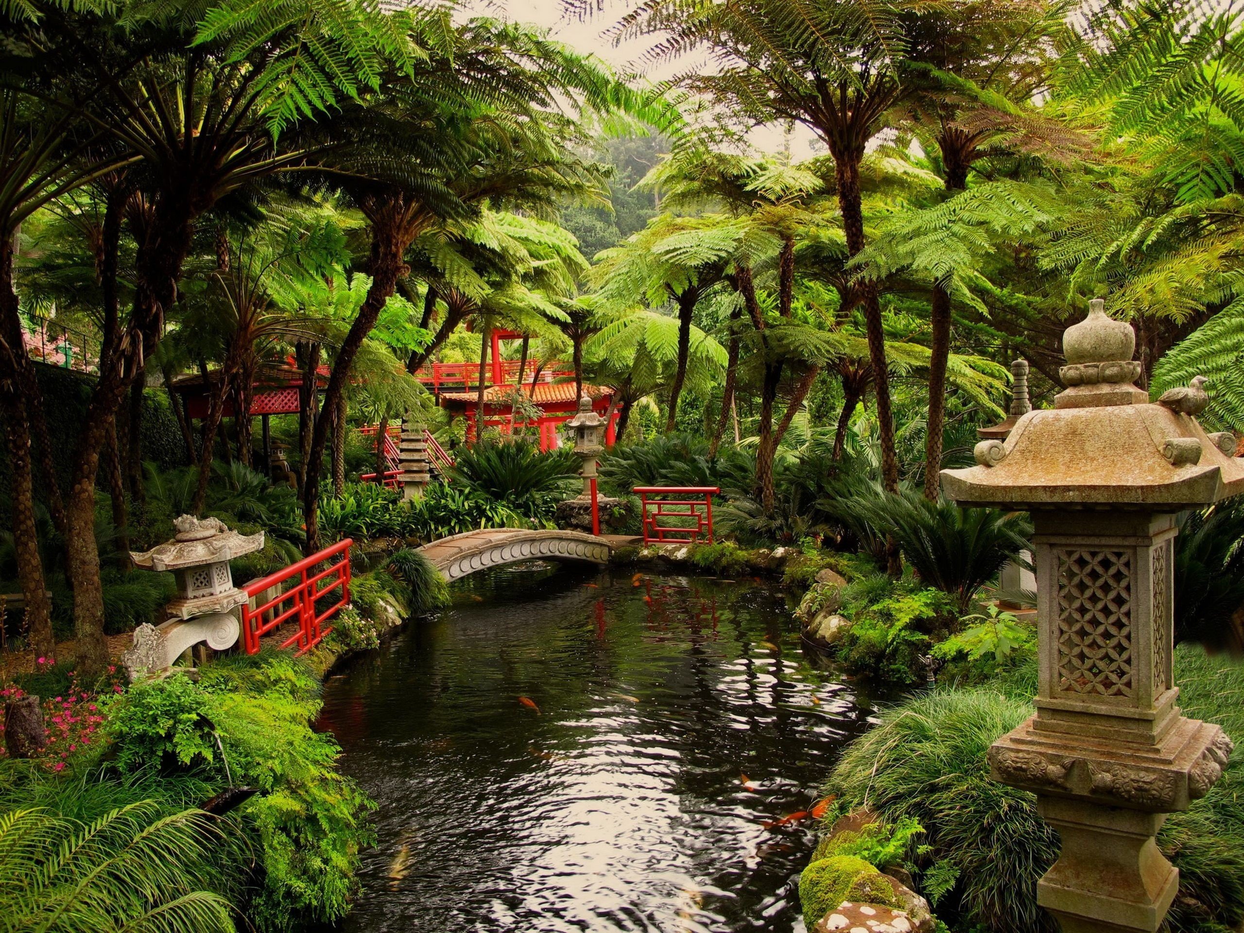 Japan, Garden, Pond HD Wallpapers ...