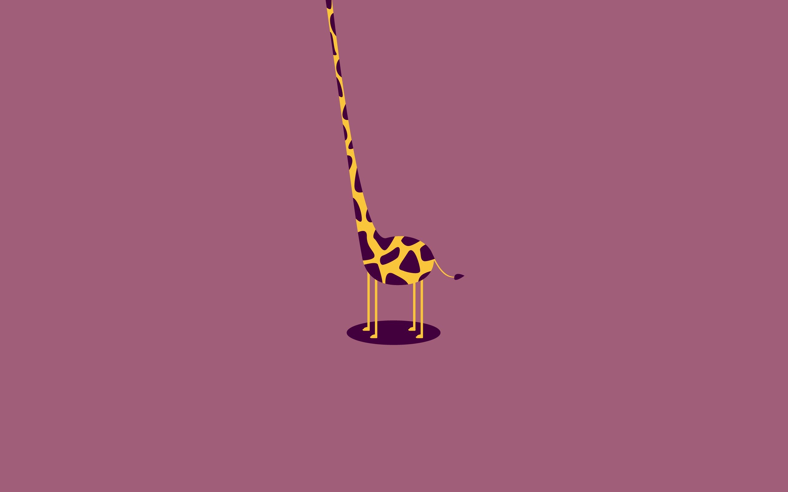 giraffes Wallpaper