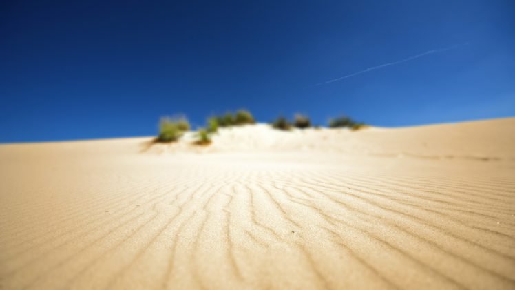 desert, Depth of field HD Wallpaper Desktop Background