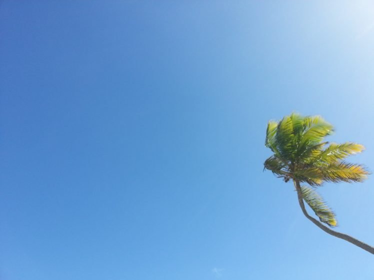 Punta Cana, Horizon, Palm trees HD Wallpaper Desktop Background