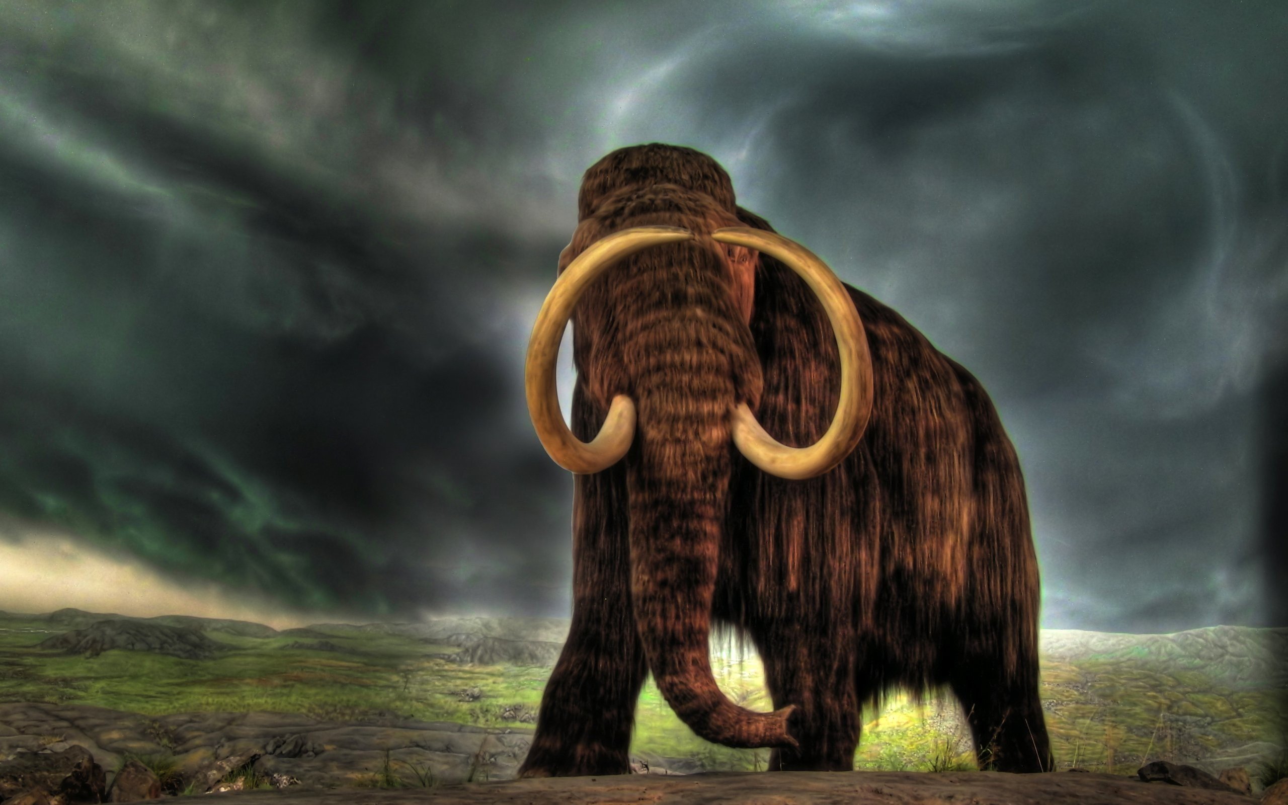 mammoths Wallpaper