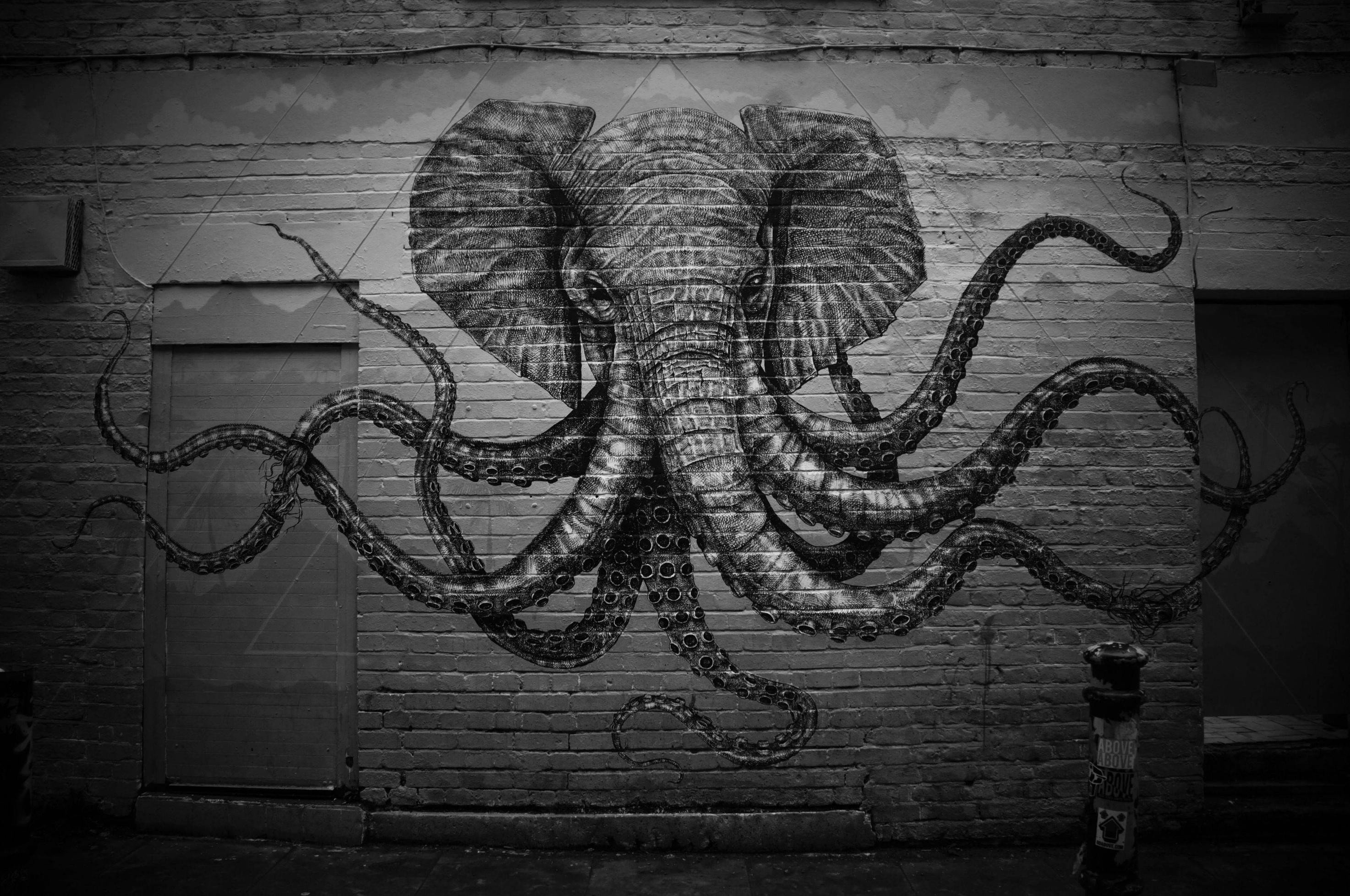 elephants, Octopus Wallpaper