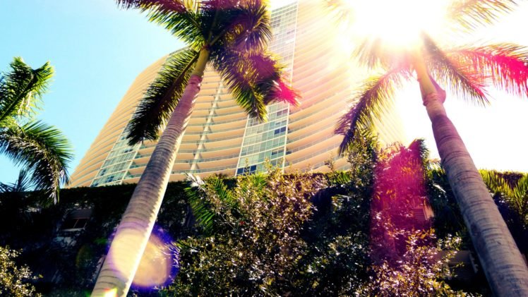 Miami, Palm trees, Florida HD Wallpaper Desktop Background