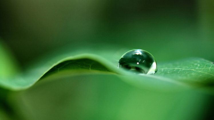 green, Water drops, Macro HD Wallpaper Desktop Background