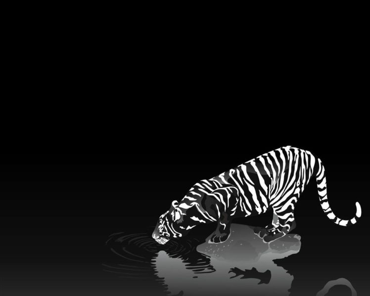 tiger, Monochrome HD Wallpaper Desktop Background