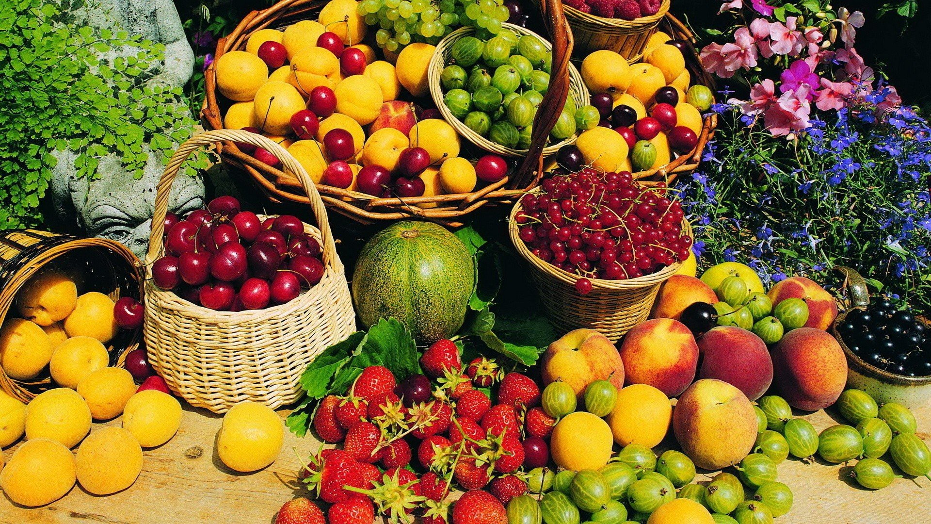 fruit Wallpaper