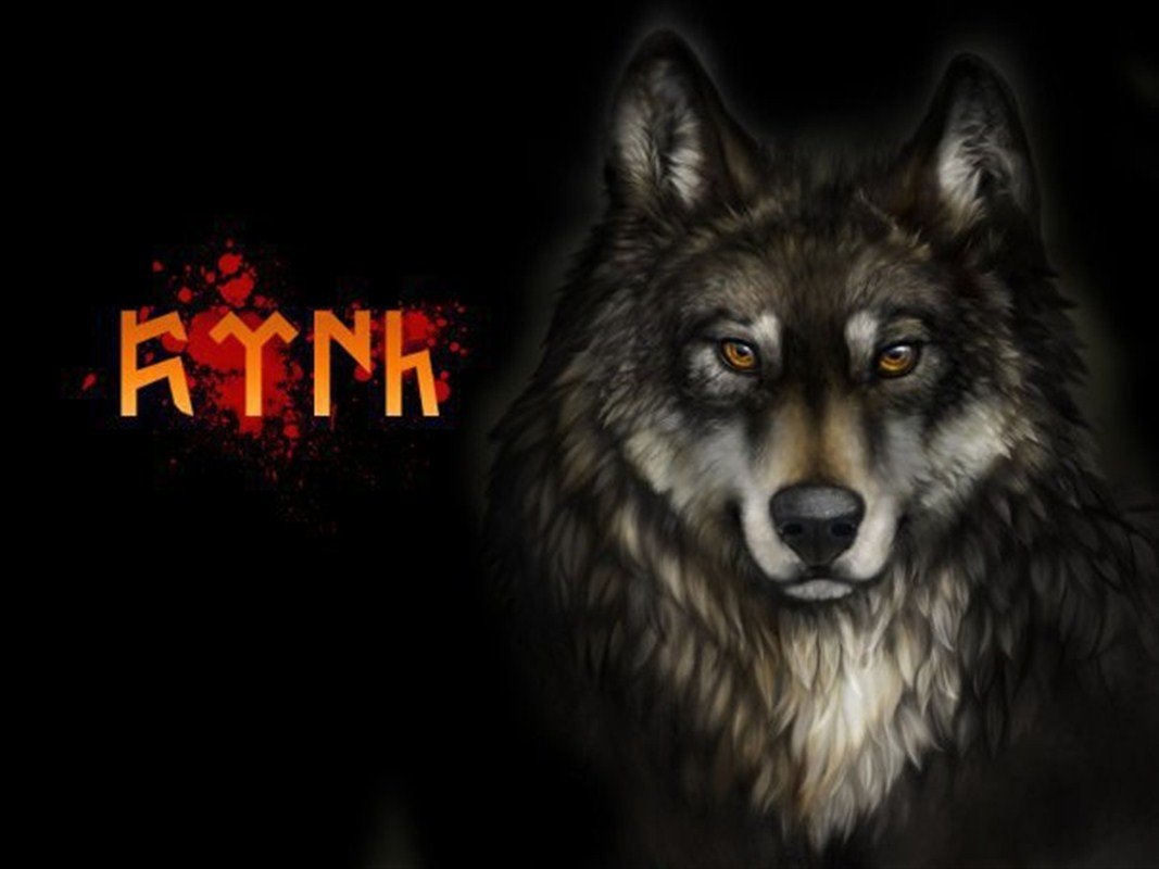wolf, Turkish, Fascism HD Wallpapers / Desktop and Mobile Images & Photos