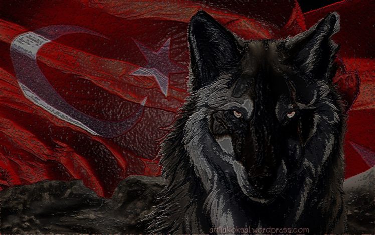 wolf, Bozkurt, Turkish, Turkey, Flag, Fascism HD Wallpaper Desktop Background