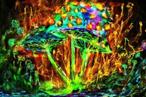 psychedelic, Mushroom