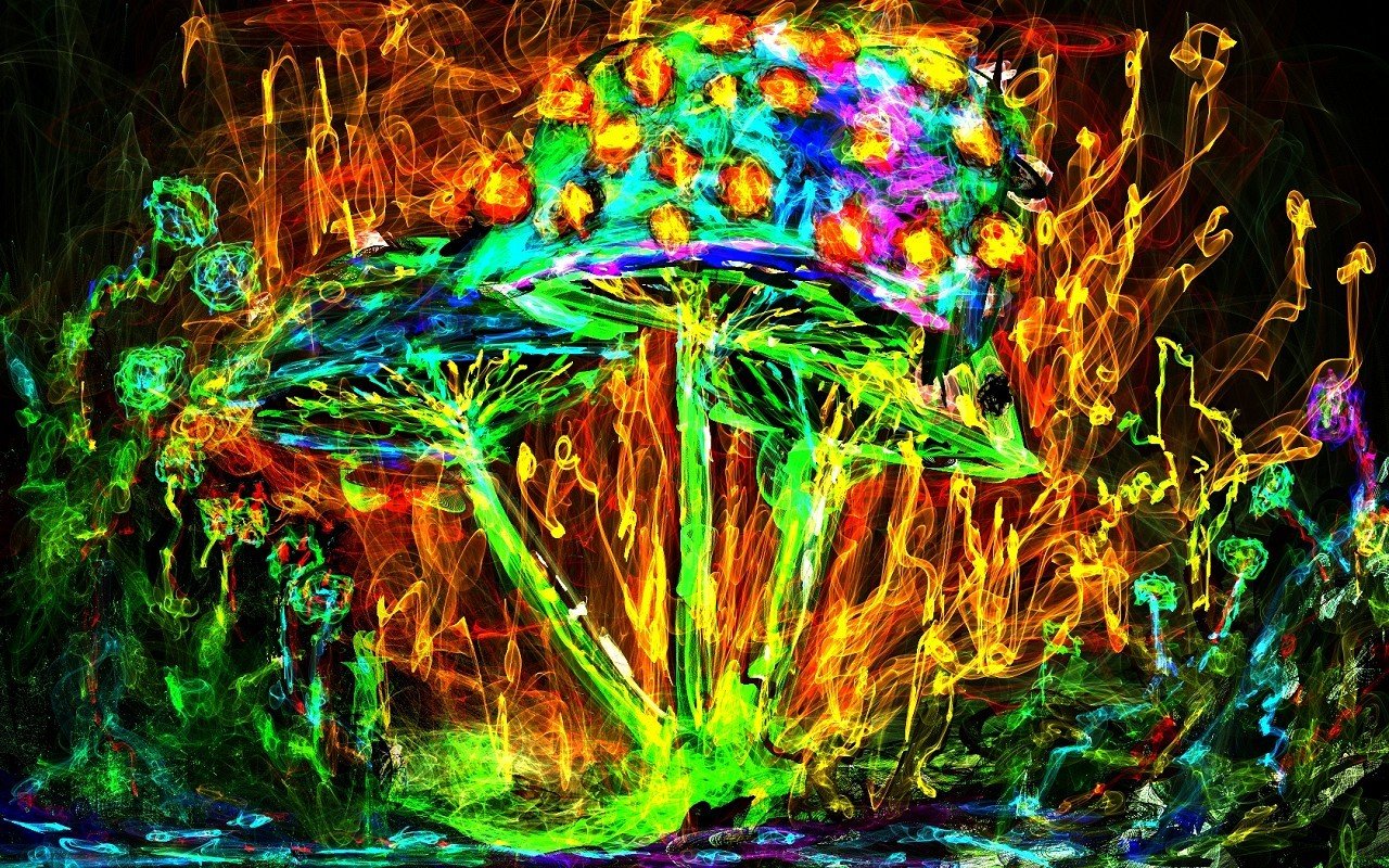psychedelic, Mushroom Wallpaper