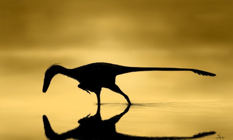 dinosaurs HD Wallpaper Desktop Background