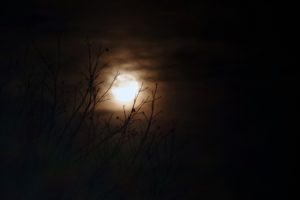 moon, Dark