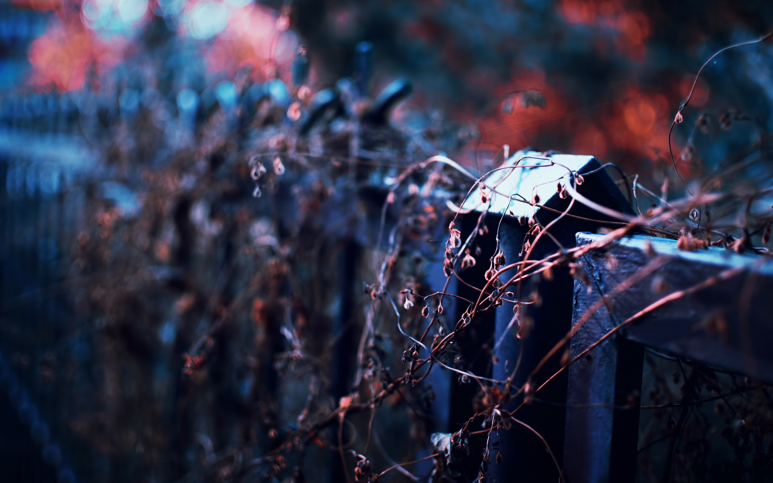photography, Depth of field, Fence, Twigs Wallpaper
