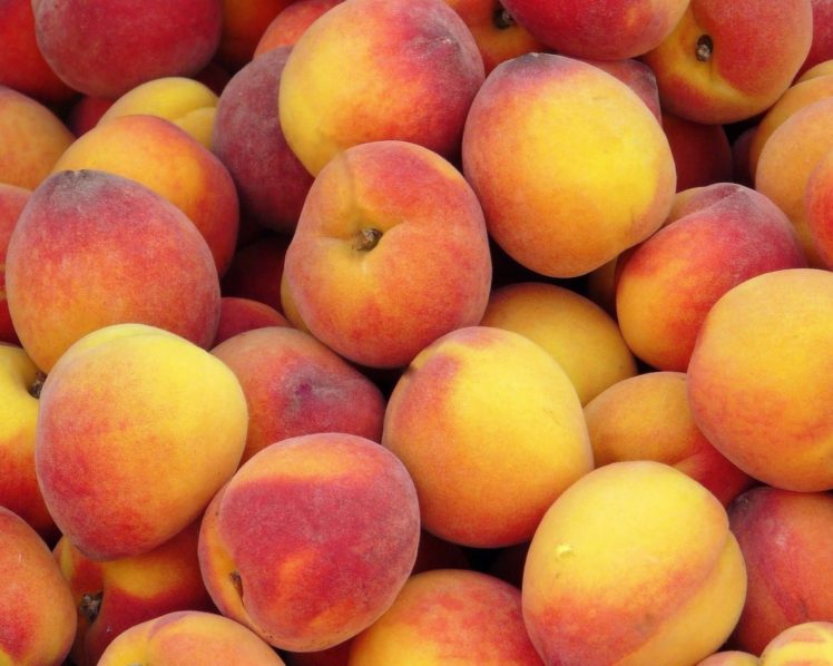 fruit, Peaches HD Wallpaper Desktop Background