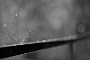 photography, Rain, Monochrome, Water drops