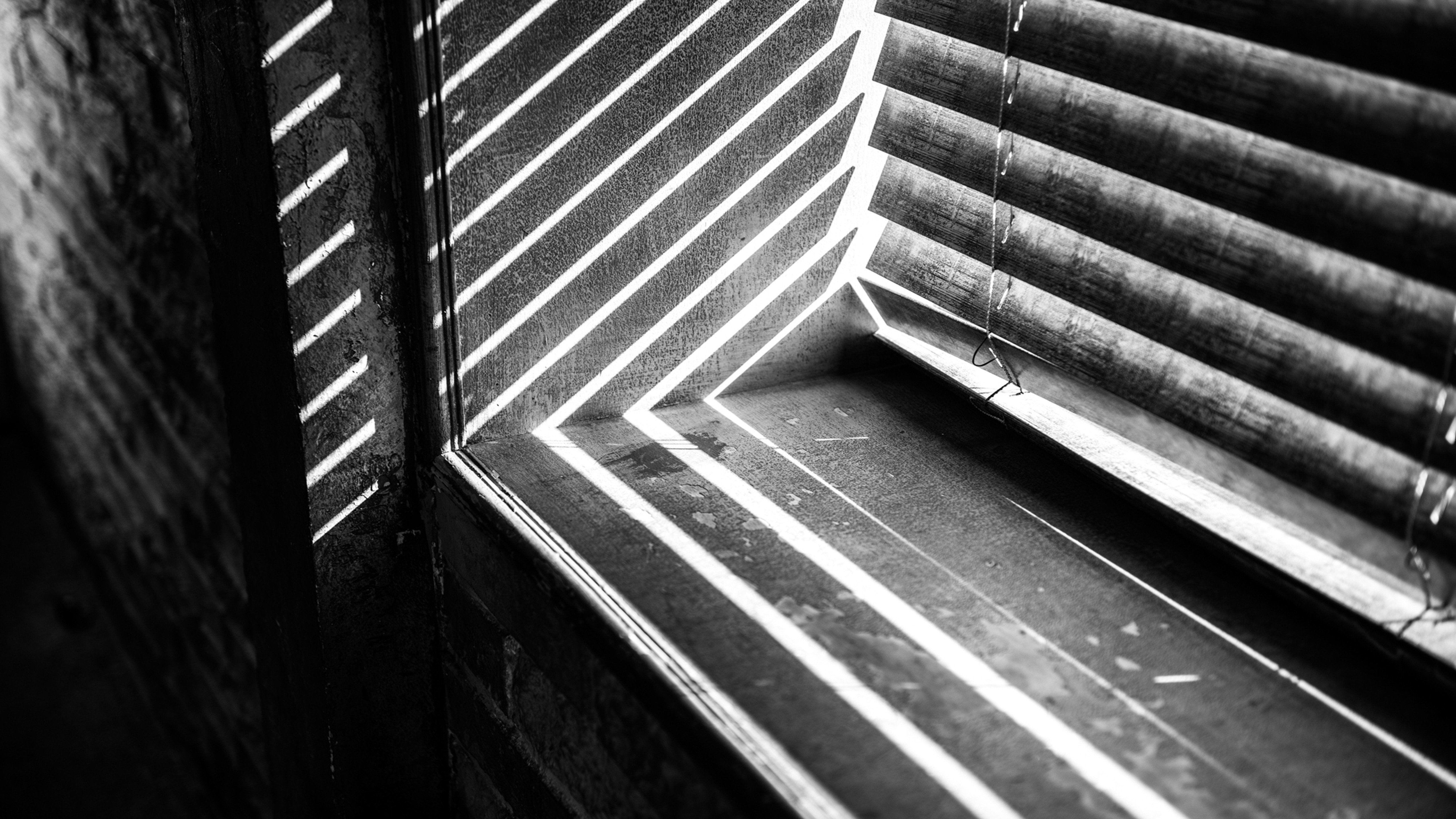 photography, Monochrome, Window sill, Sunlight Wallpaper