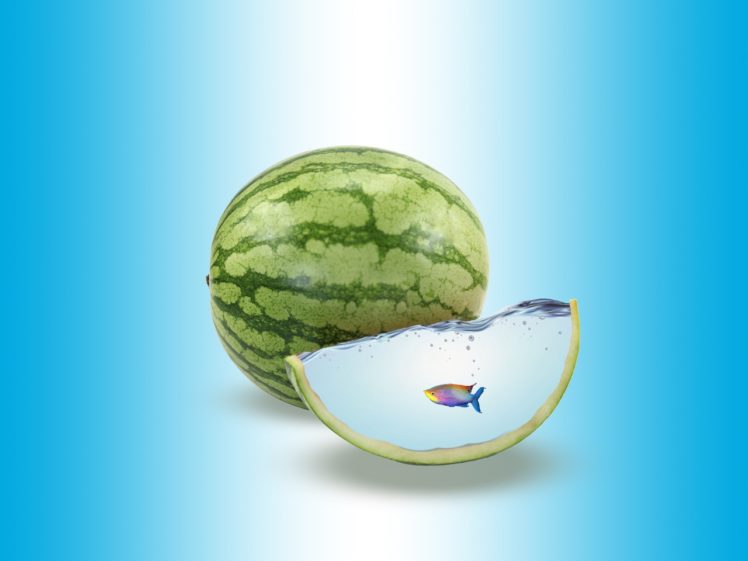 fish, Water, Watermelons HD Wallpaper Desktop Background