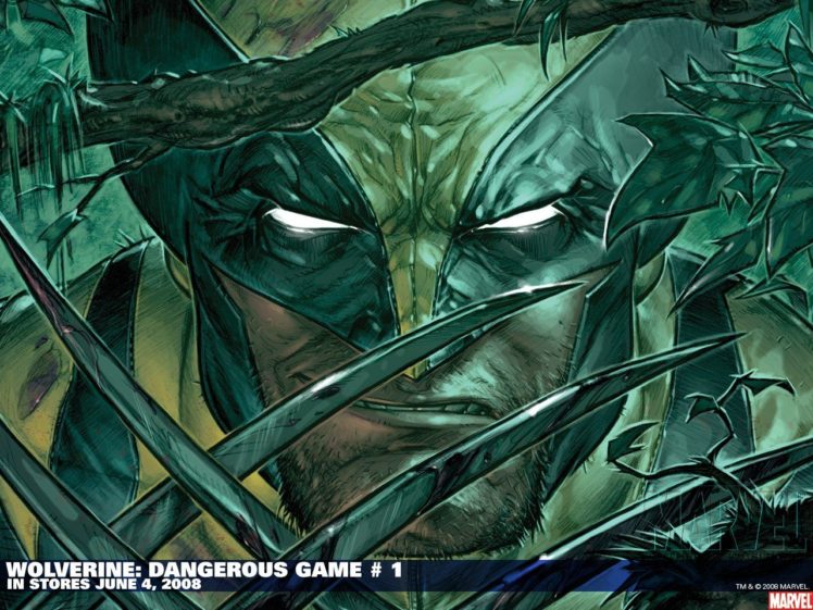 Wolverine, Adamantium, Claws HD Wallpaper Desktop Background