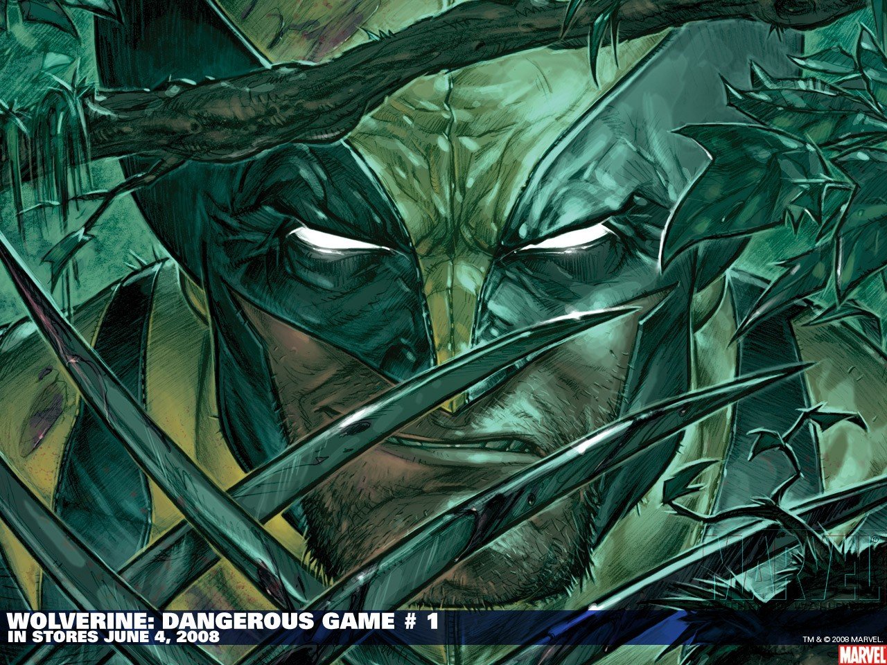 Wolverine, Adamantium, Claws Wallpaper