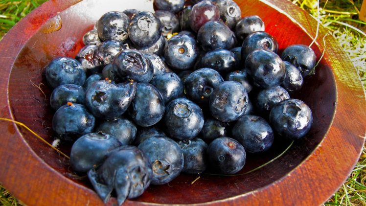 blueberries, Fruit HD Wallpaper Desktop Background
