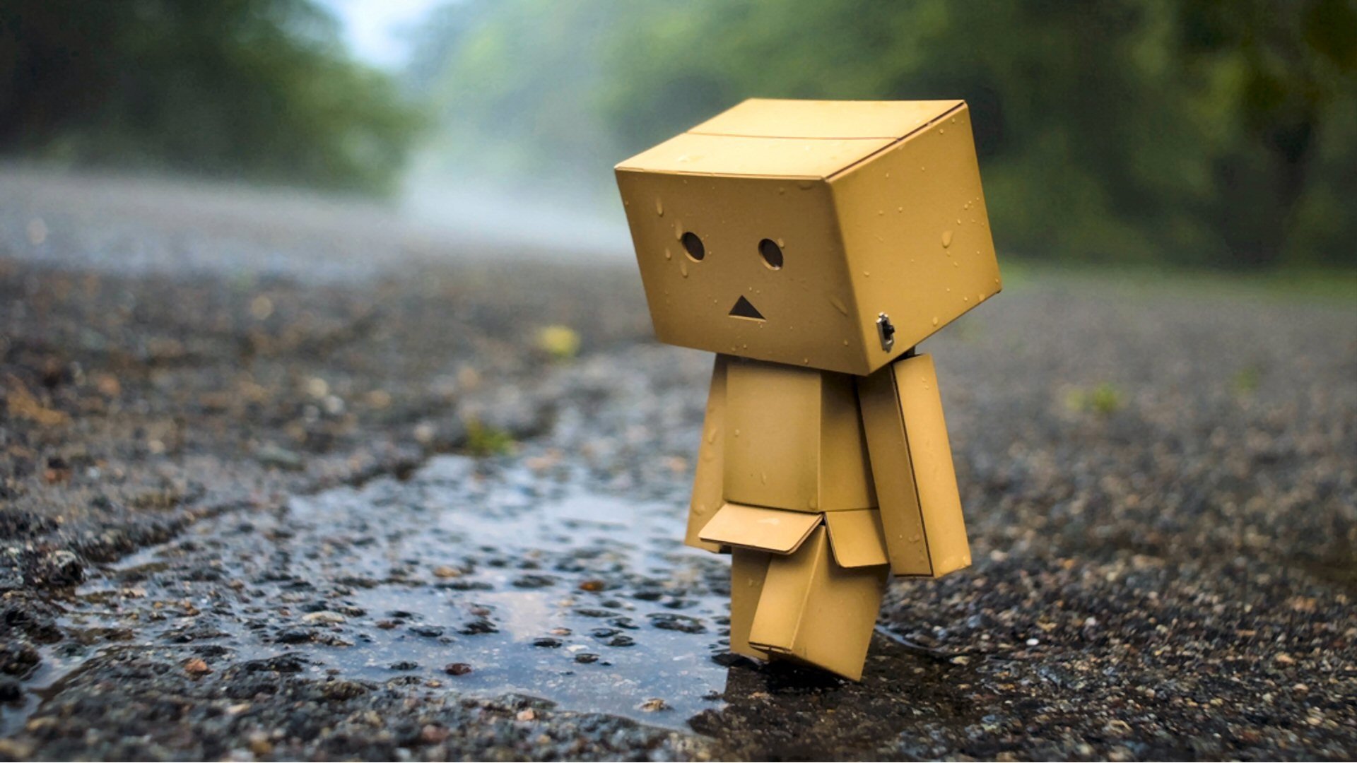 Danbo Wallpaper