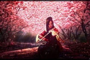 geisha, Violin