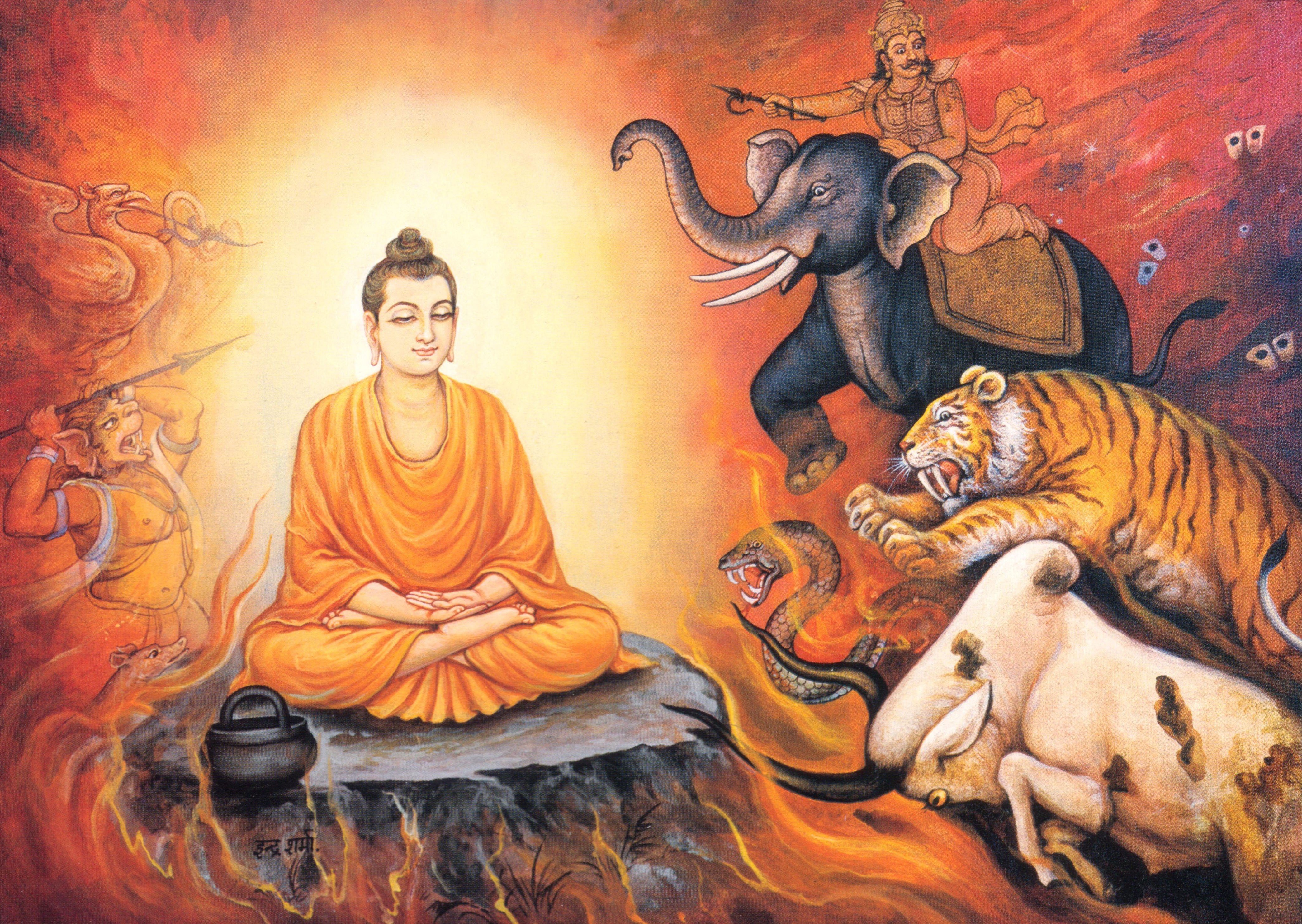 buddha enlightenment