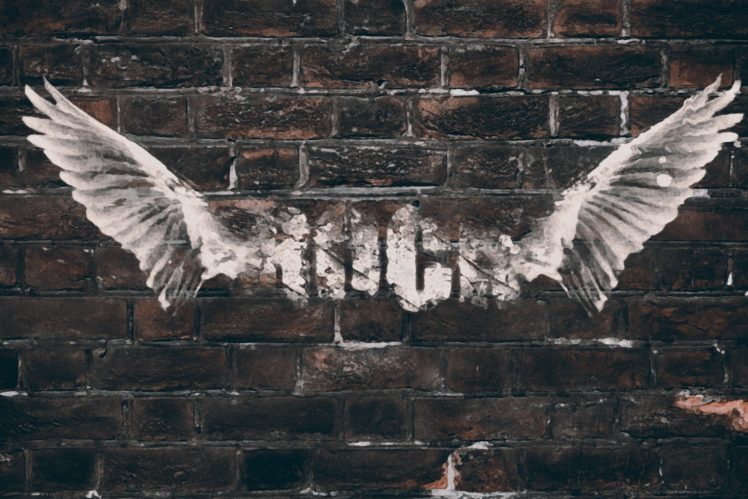 wings, Bricks, Walls HD Wallpaper Desktop Background