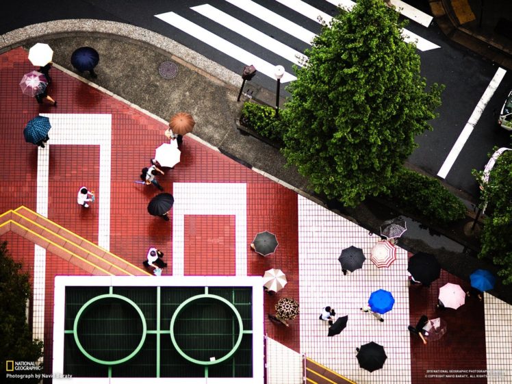 National Geographic, Umbrella, Aerial view, Road, People, Pavements, Trees, Japan HD Wallpaper Desktop Background