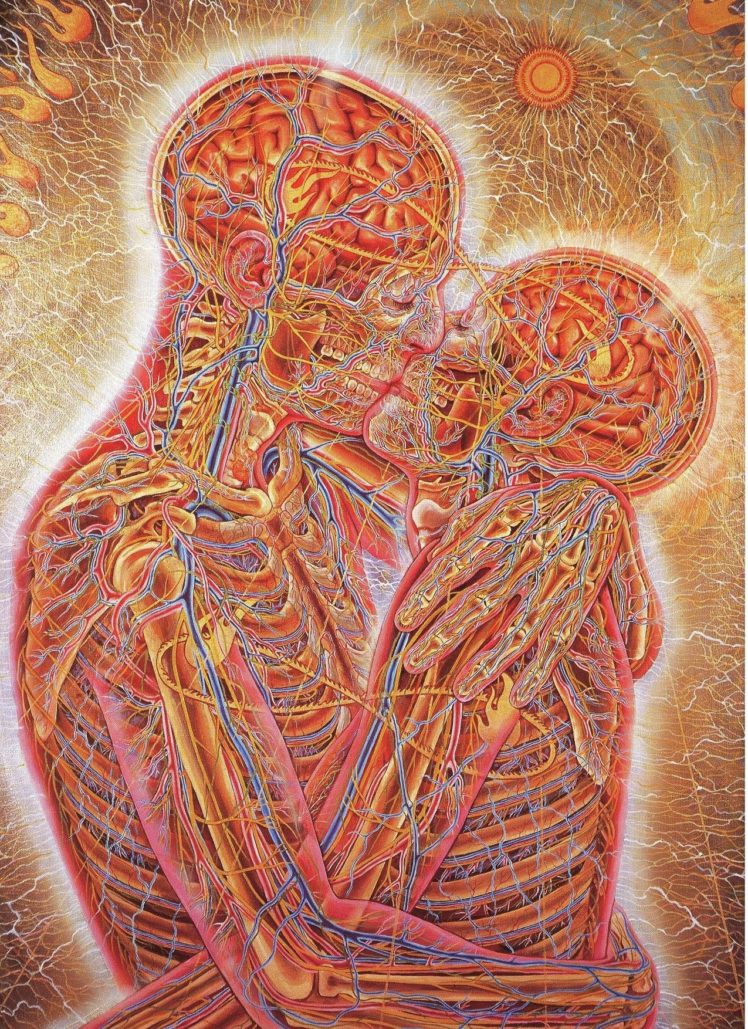 anatomy, Couple, Kissing HD Wallpaper Desktop Background
