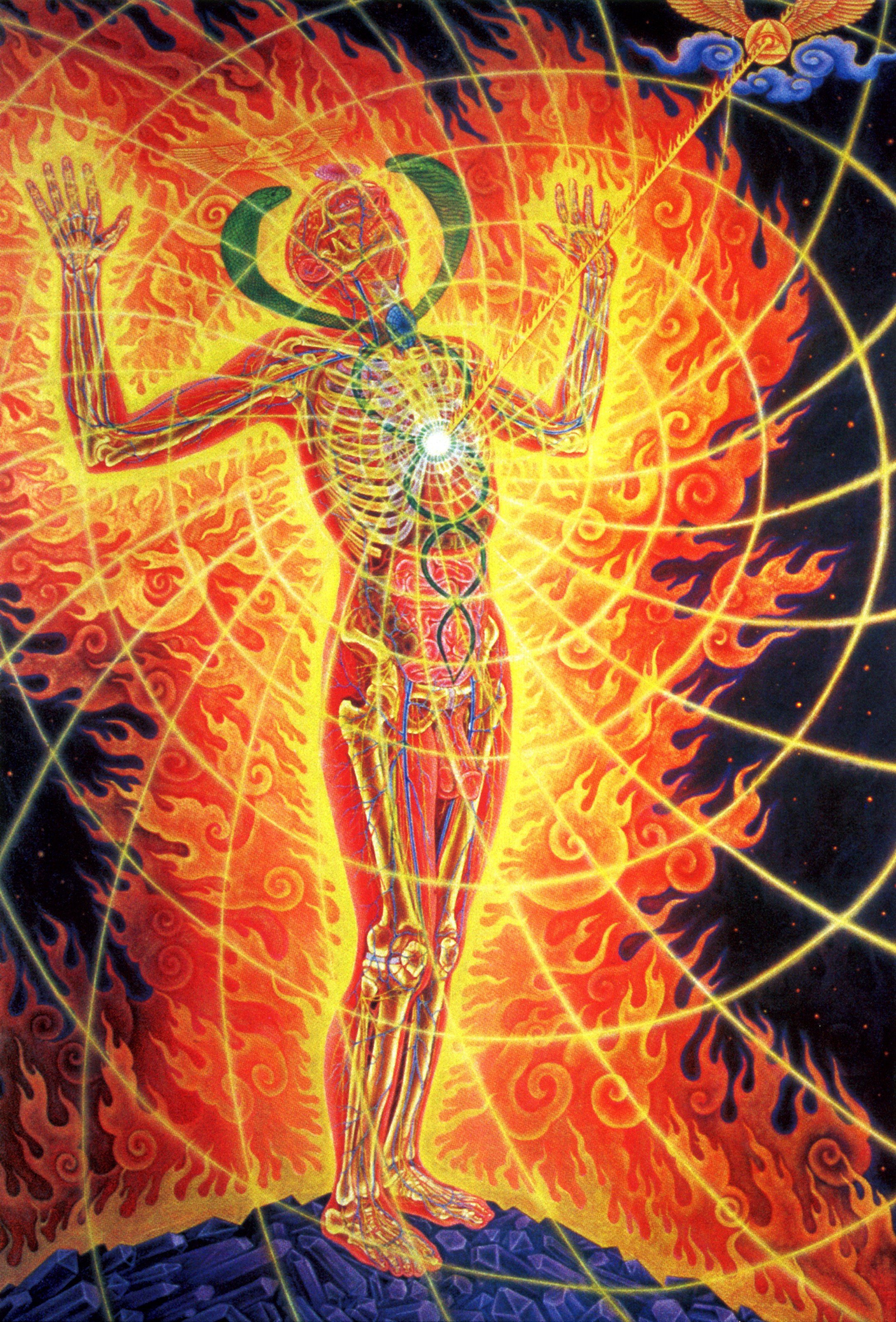 Alex Grey 2024 Calendar Heath Elizabeth