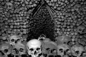 skull, Bones, Czech Republic, Monochrome