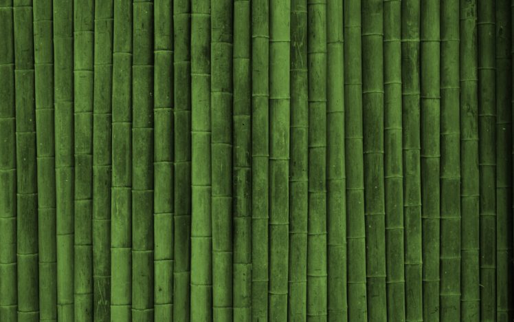 minimalism, Bamboo HD Wallpaper Desktop Background